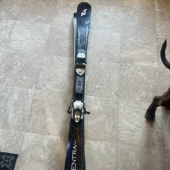 Ski - Picture 2 of 4